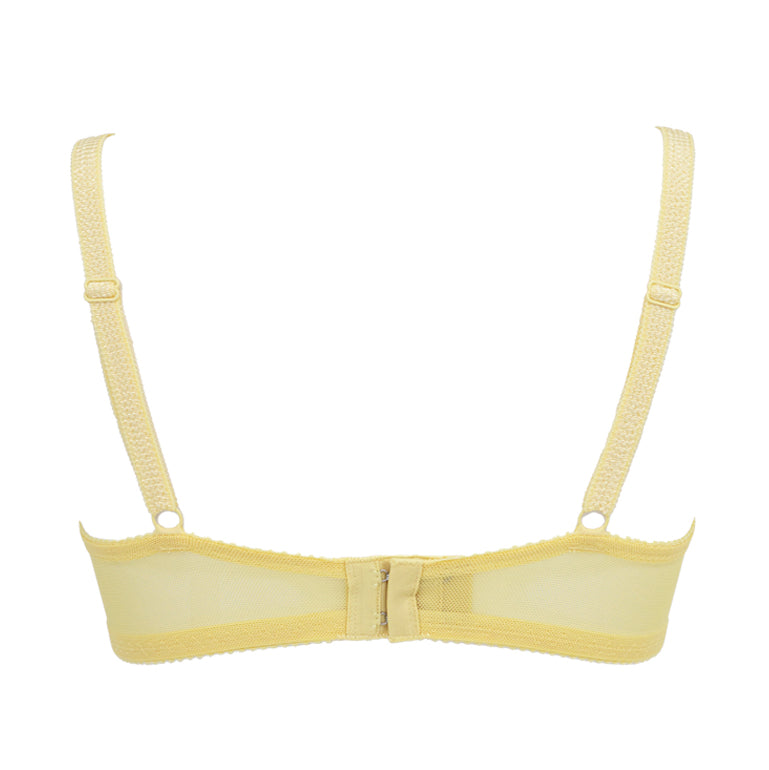 Naomi Push-Up Plunge Bra 23S2
