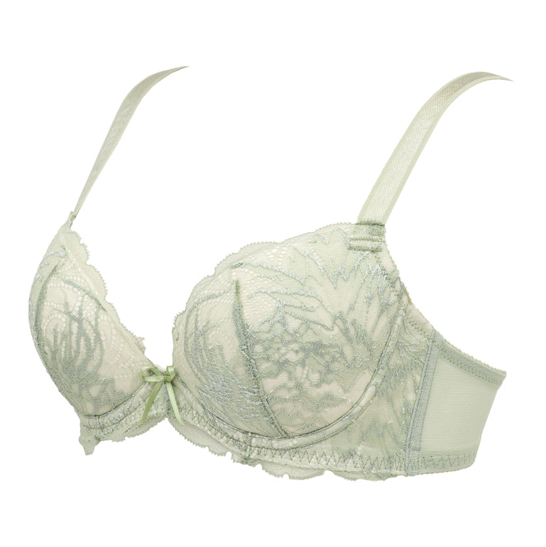 Naomi Push-Up Plunge Bra 23S4