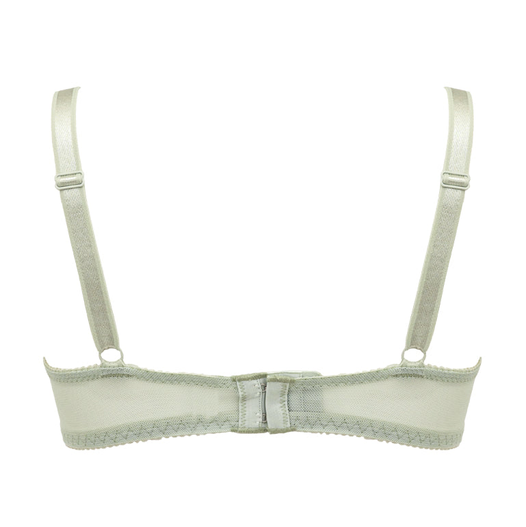 Naomi Push-Up Plunge Bra 23S4