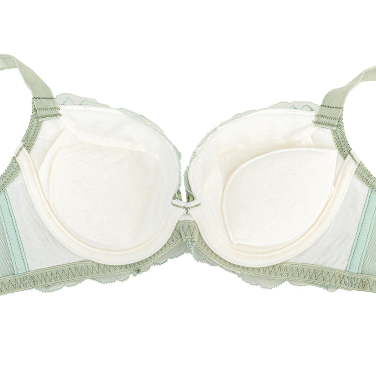 Naomi Push-Up Plunge Bra 23S4
