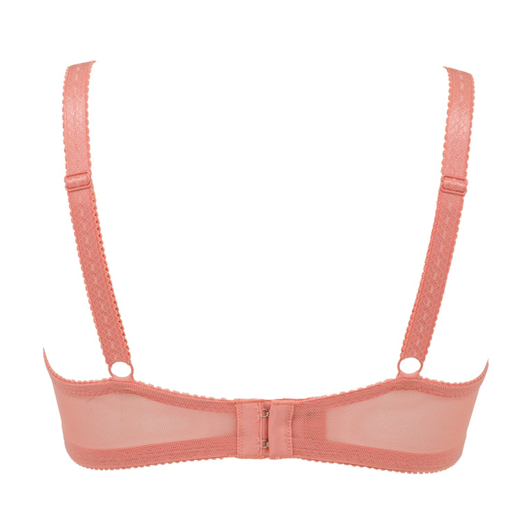 Naomi Push-Up Plunge Bra 23A1