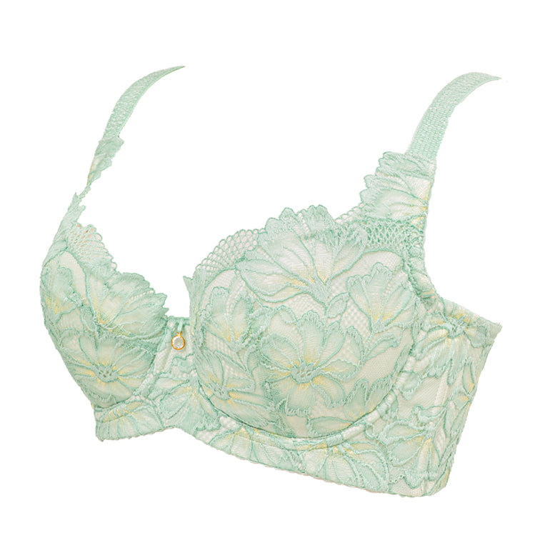 Support Style Contour Bra 24S1