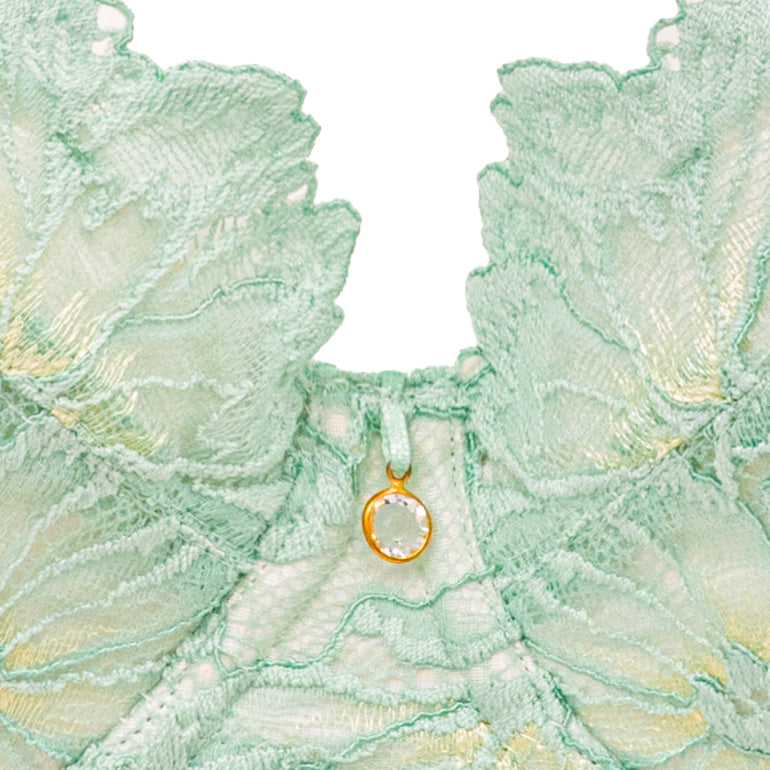 Support Style Contour Bra 24S1