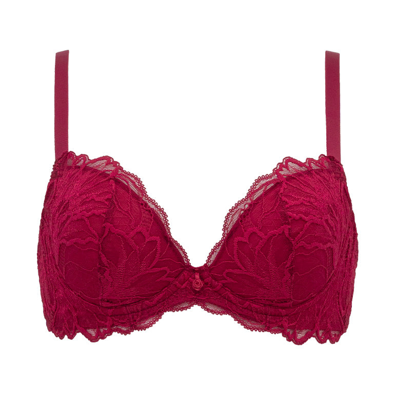 Naomi Push-Up Plunge Bra 24A1