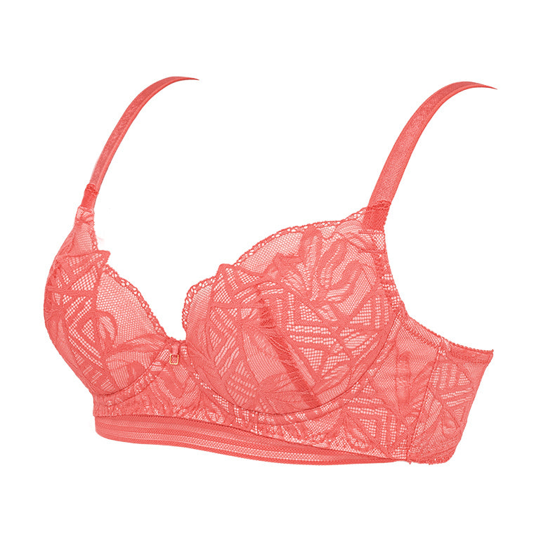 Wendy Shaping Bra 25S1