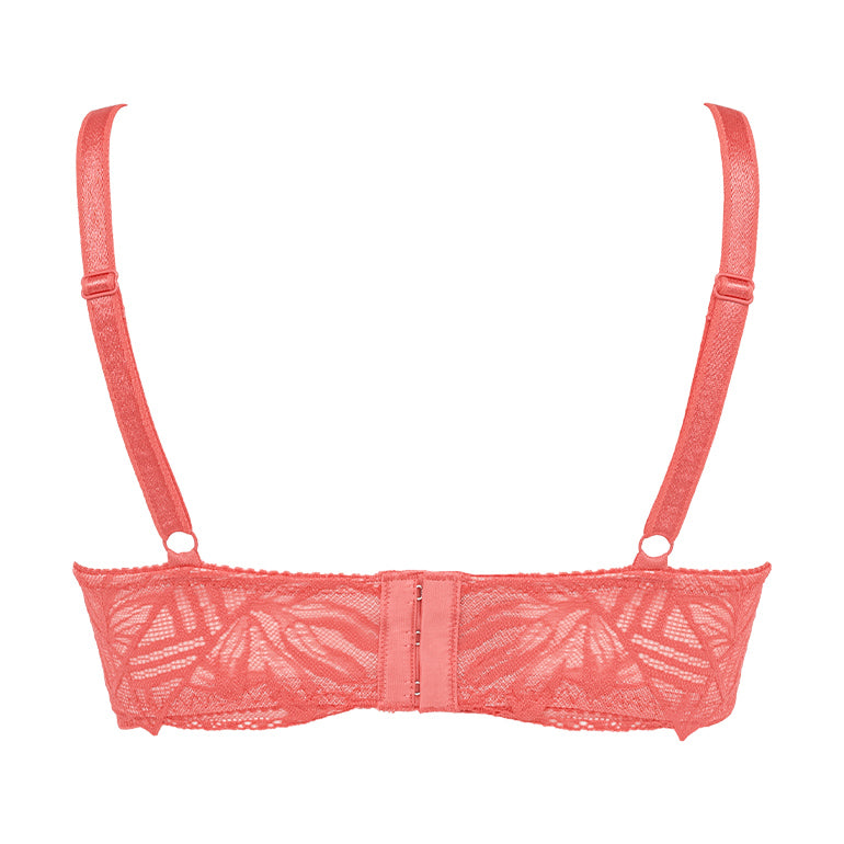 Wendy Shaping Bra 25S1