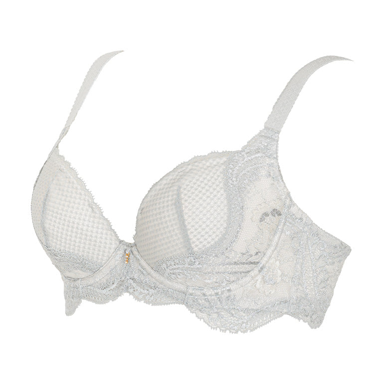 Naomi Push-Up Plunge Bra 25S2