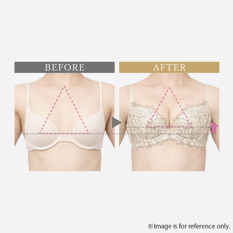 Naomi Push-Up Plunge Bra 25A3