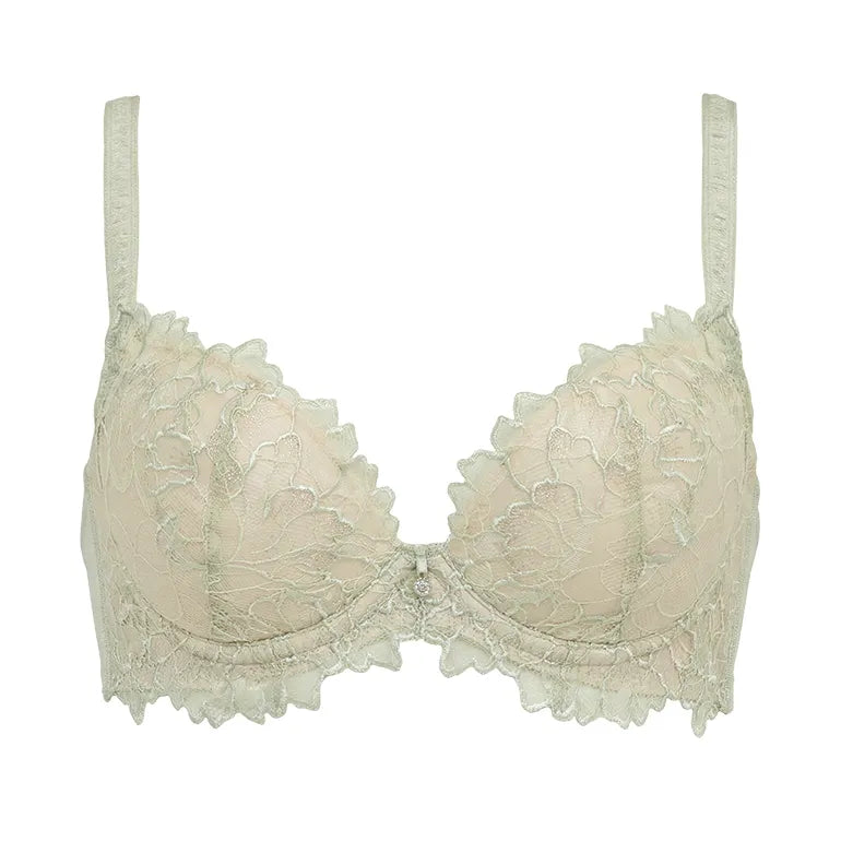 Naomi Push-Up Plunge Bra 26S2