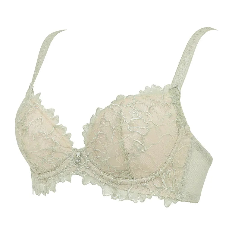 Naomi Push-Up Plunge Bra 26S2