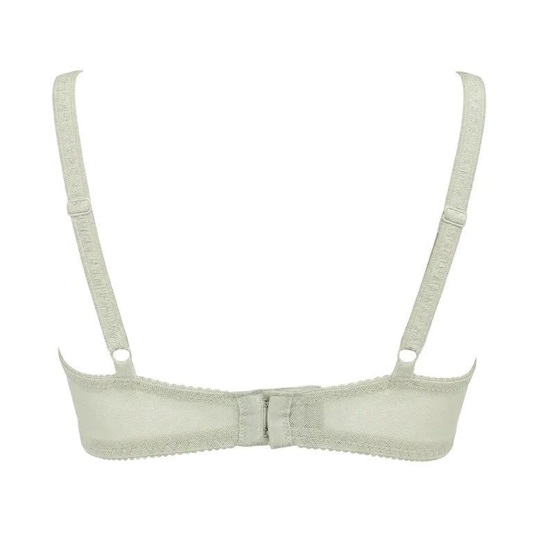 Naomi Push-Up Plunge Bra 26S2