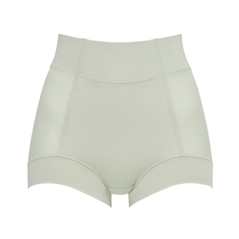 Silky Smooth Shaping Panty 24