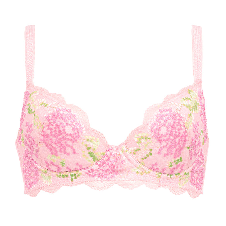 Wendy Shaping Bra 22S1