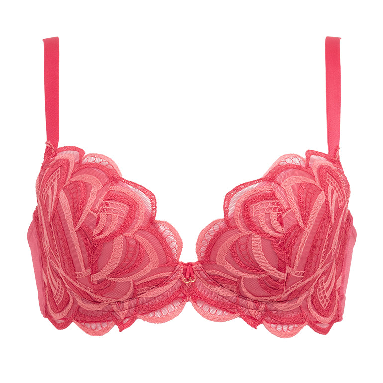 Naomi Push-Up Plunge Bra 22S1