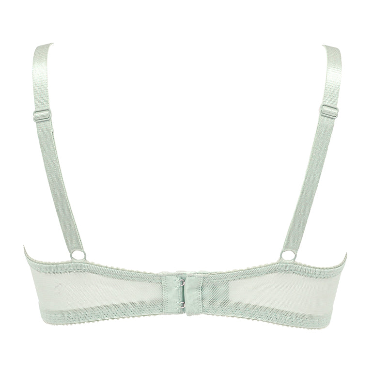 Naomi Push-Up Plunge Bra 22A1