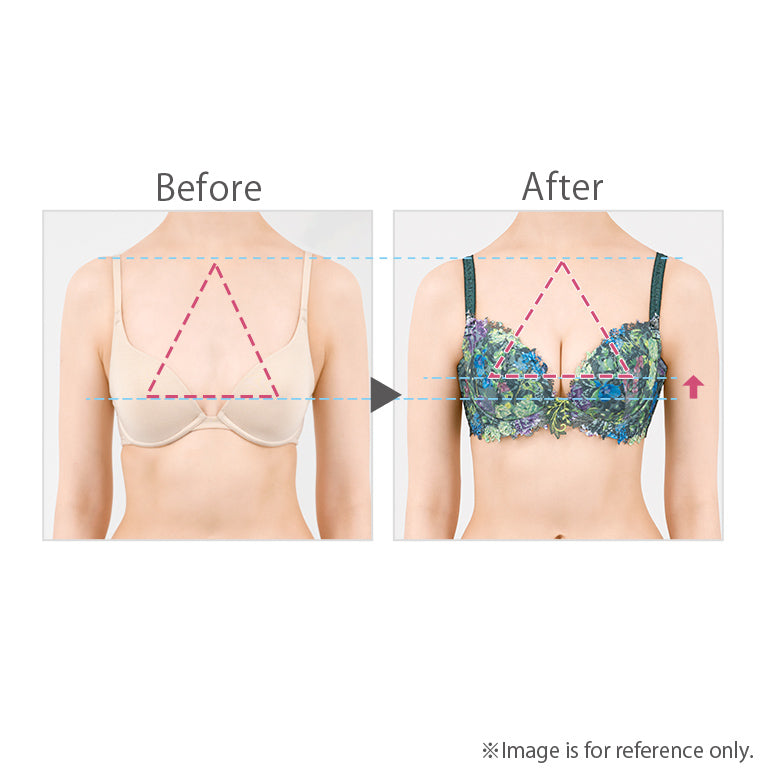 Naomi Push-Up Plunge Bra 23S1