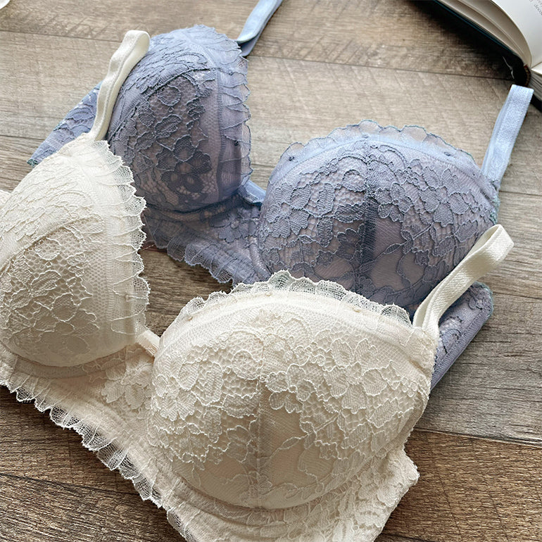 Wendy Shaping Bra 22A4