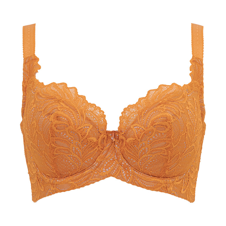Support Style Contour Bra 23A1