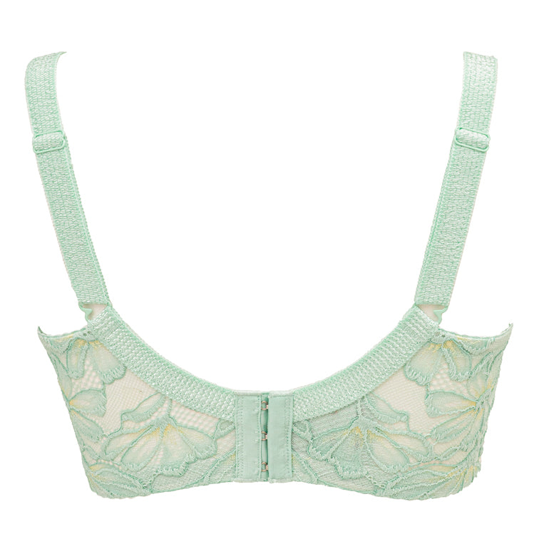 Support Style Contour Bra 24S1