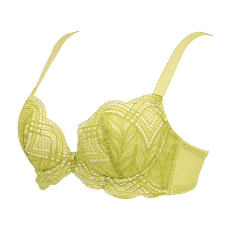 Naomi Push-Up Plunge Bra 24S2