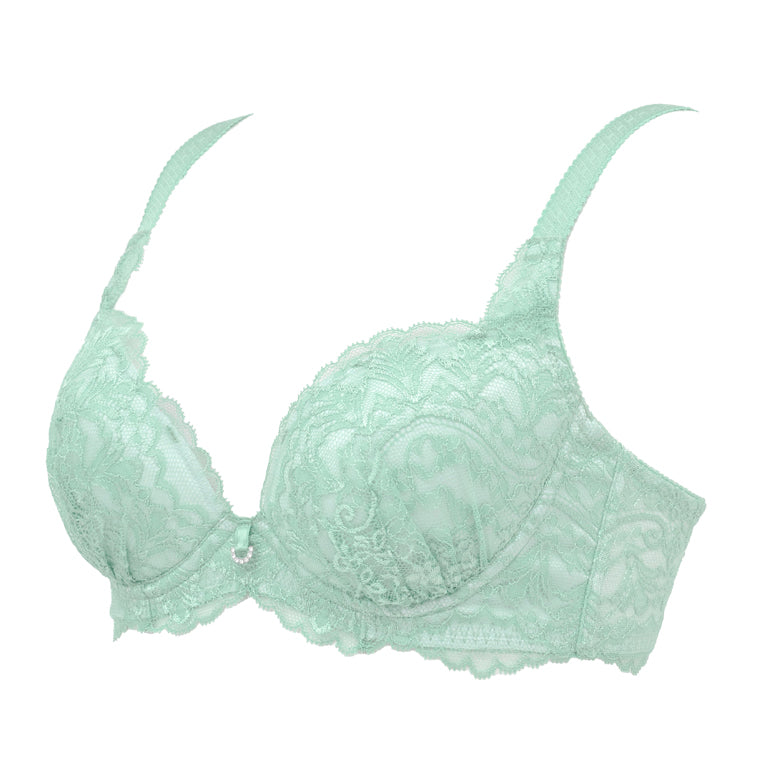 Belle Push-Up Plunge Bra 25S1