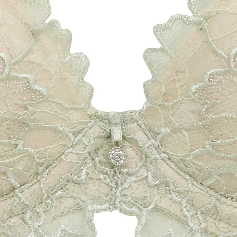 Naomi Push-Up Plunge Bra 26S2