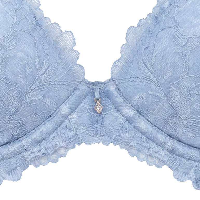 Naomi Push-Up Plunge Bra 26S3