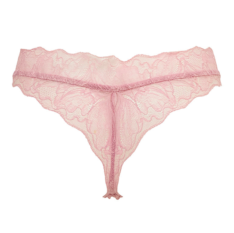 Viola Thong 26S1